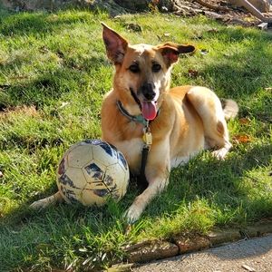 Meet your Posher, Julie